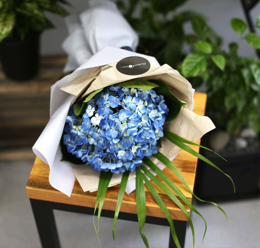 [�ù��ǰ]Fun florals by - ���緹�̵� ���� �ɹ��