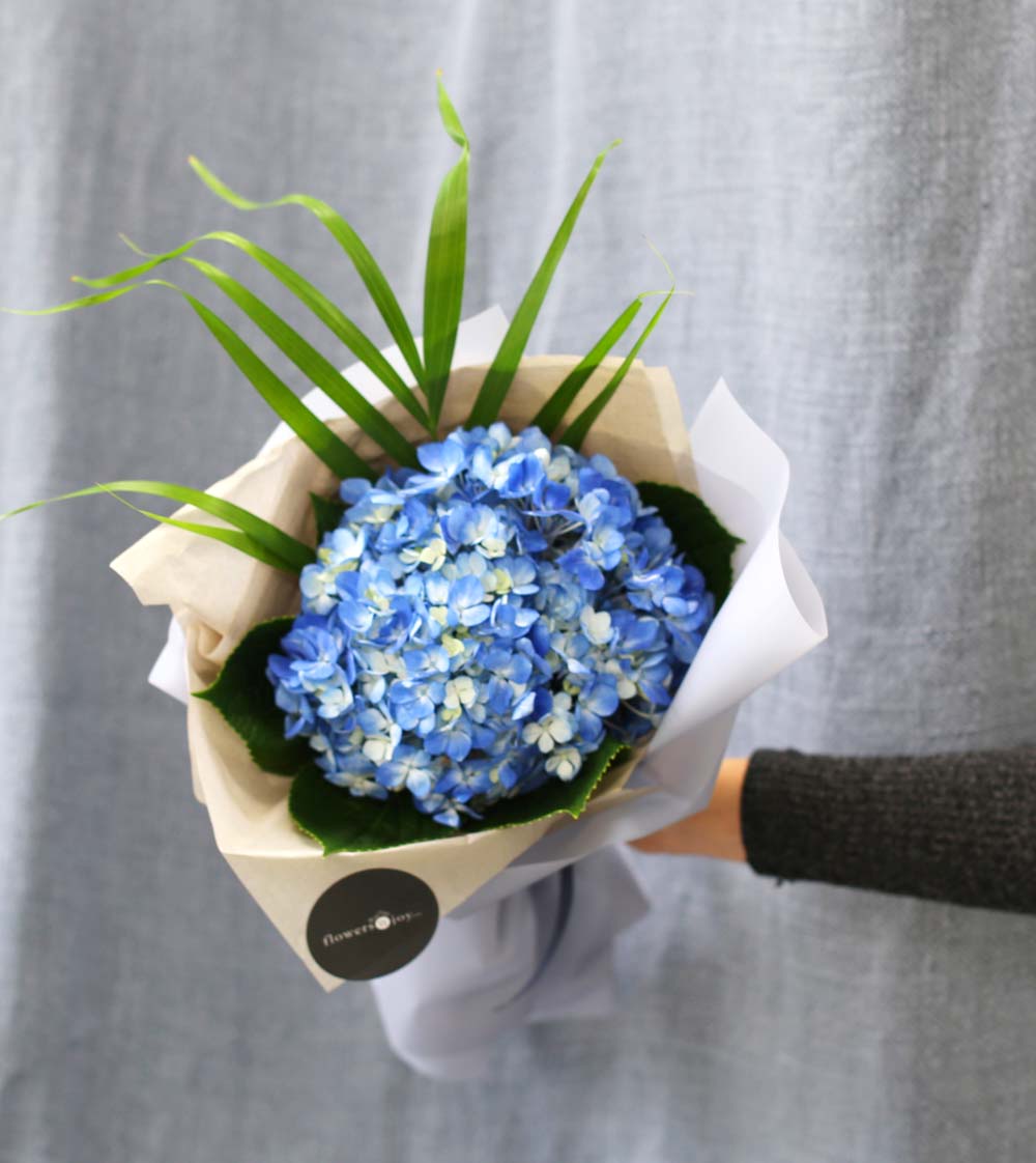 [�ù��ǰ]Fun florals by - ���緹�̵� ���� �ɹ��