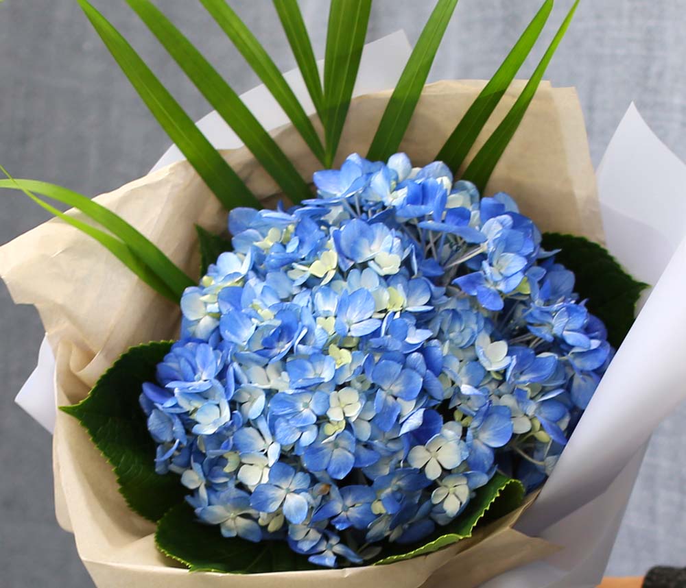 [�ù��ǰ]Fun florals by - ���緹�̵� ���� �ɹ��