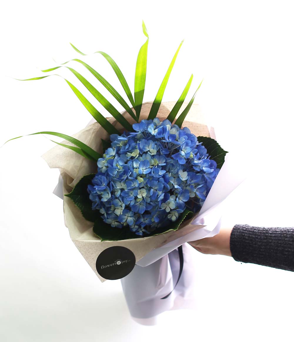 [�ù��ǰ]Fun florals by - ���緹�̵� ���� �ɹ��