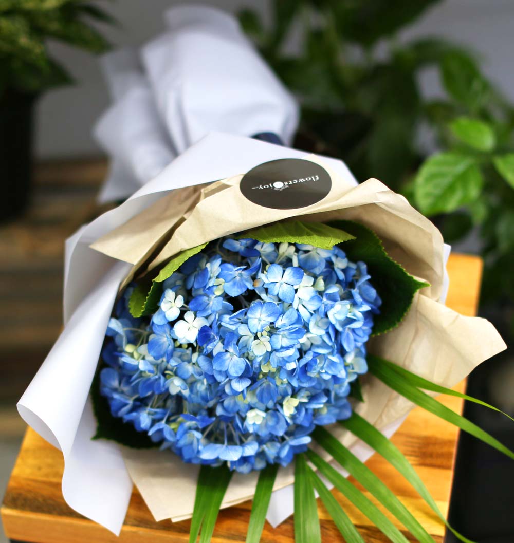 [�ù��ǰ]Fun florals by - ���緹�̵� ���� �ɹ��