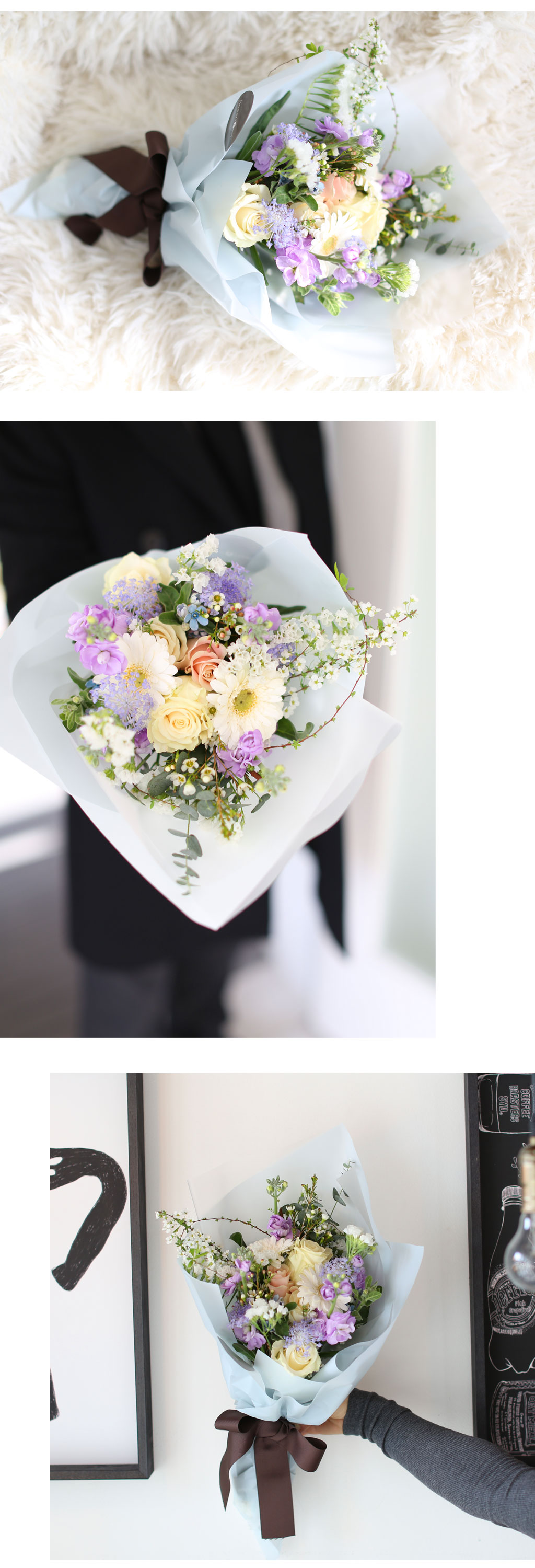 Spring violet ���� �ɹ��