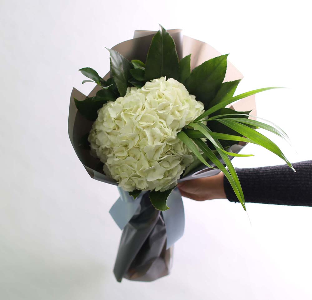 [�ù��ǰ]Fun florals by - �������� ���� �ɹ��