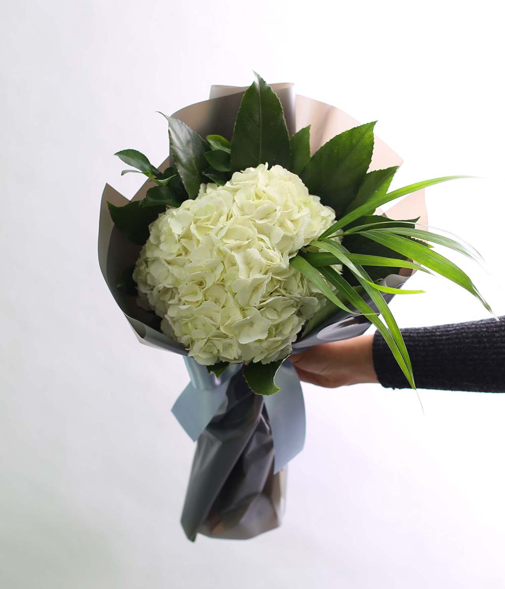 [�ù��ǰ]Fun florals by - �������� ���� �ɹ��