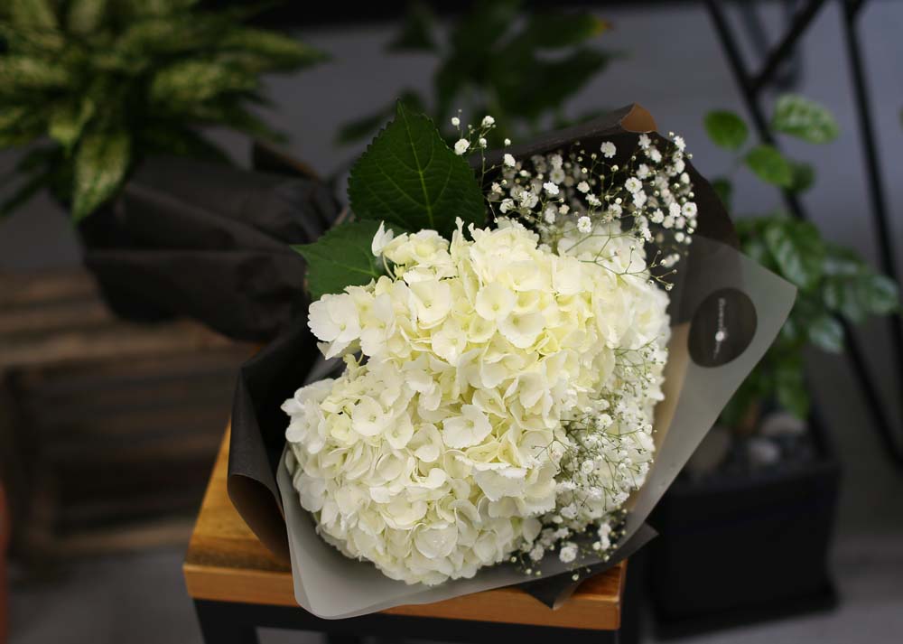 [�ù��ǰ]Fun florals by - ��ſ����� ���� �ɹ��