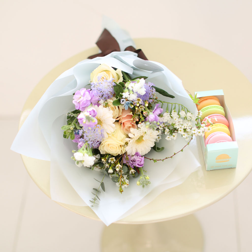 Spring violet - ����� ���� �޻� ���� �ɹ��