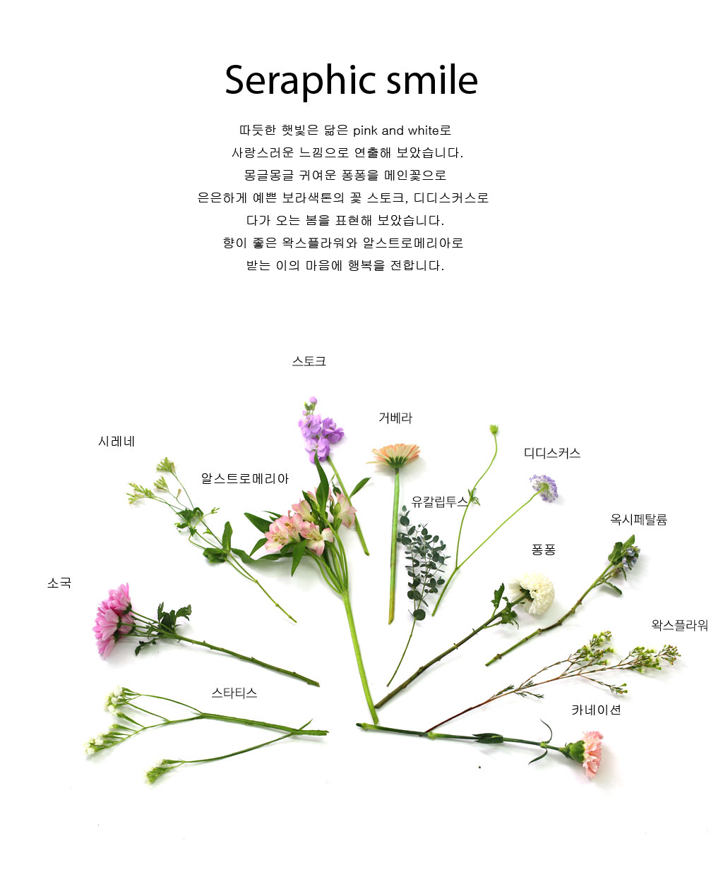 [�ù��ǰ]seraphic smile - �ູ�� �̼� ���� �ɹ��