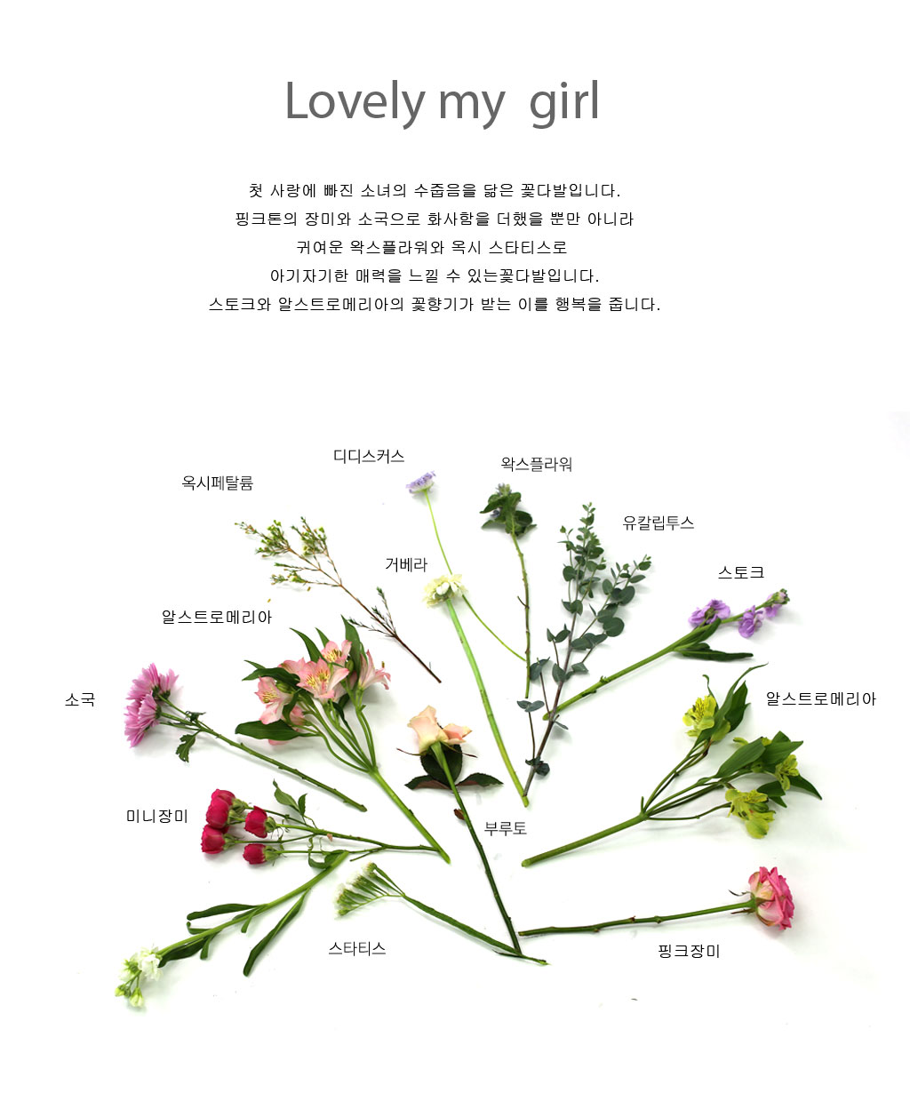 [�ù��ǰ]lovely my girl - �����ϰ� ������ ���� �ɹ��