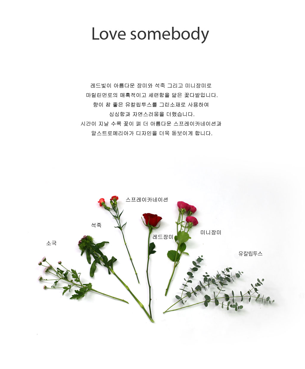 [�ù��ǰ]love somebody - �������շθ� ��� ���� �ɹ��