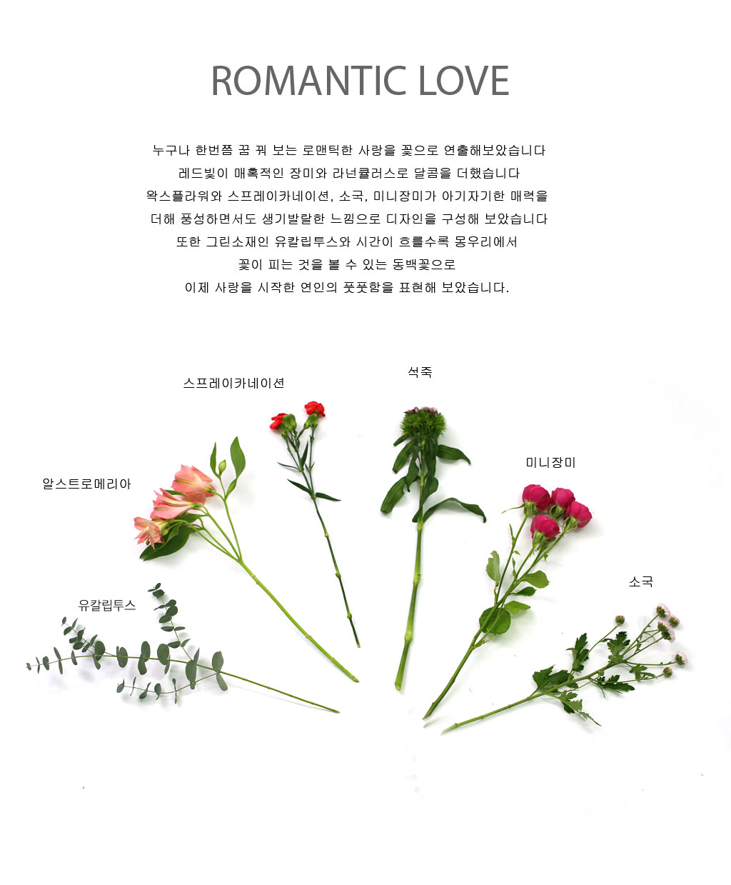 romantic love - ��Ȥ���� ������� �⿬ ���� �ɹ��
