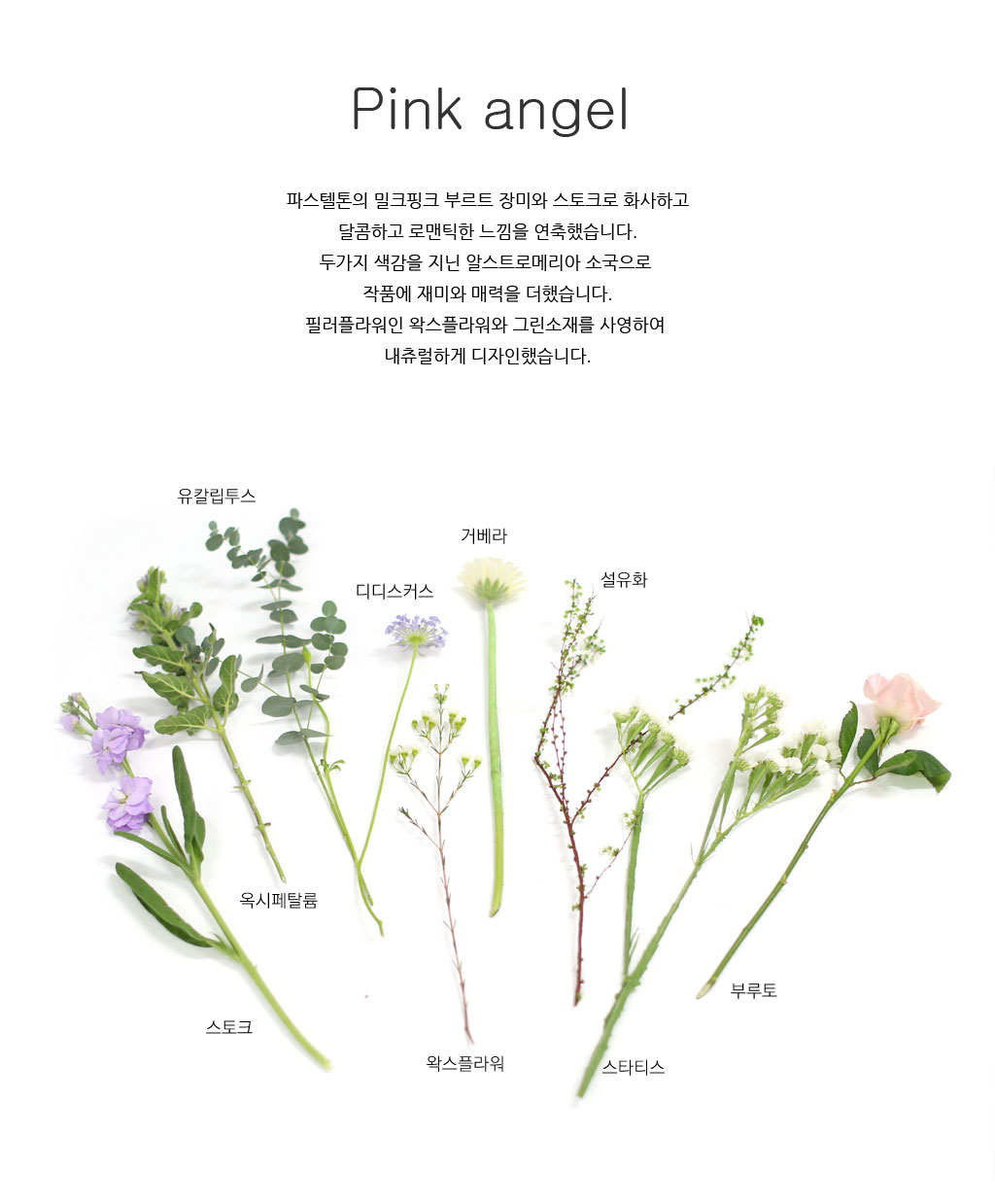[�ù��ǰ]pink angel - ��� ���� ��ũ�� �����ǽ� ���� �ɹ��