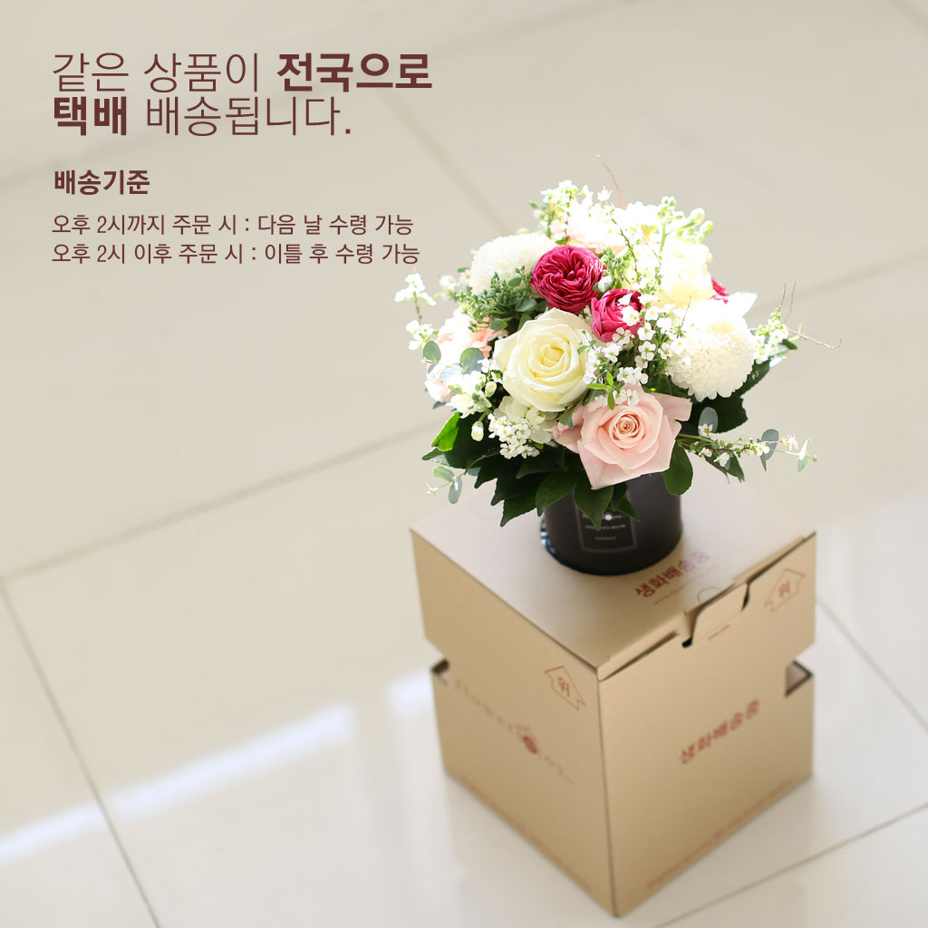 candy fluff - �Ƹ��ٿ� ���� ���� �ɹ��