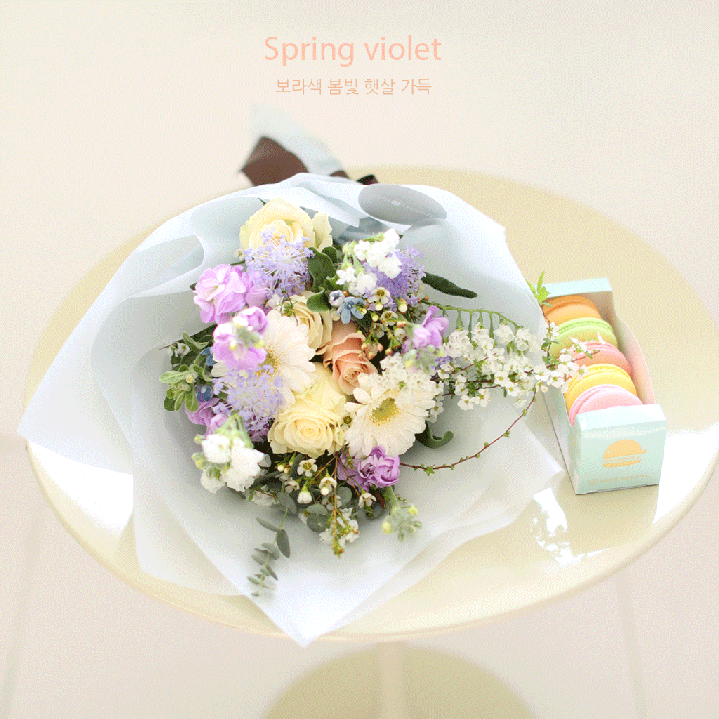 [�ù��ǰ]Spring violet - ����� ���� �޻� ��ī�� Set ���� �ɹ��