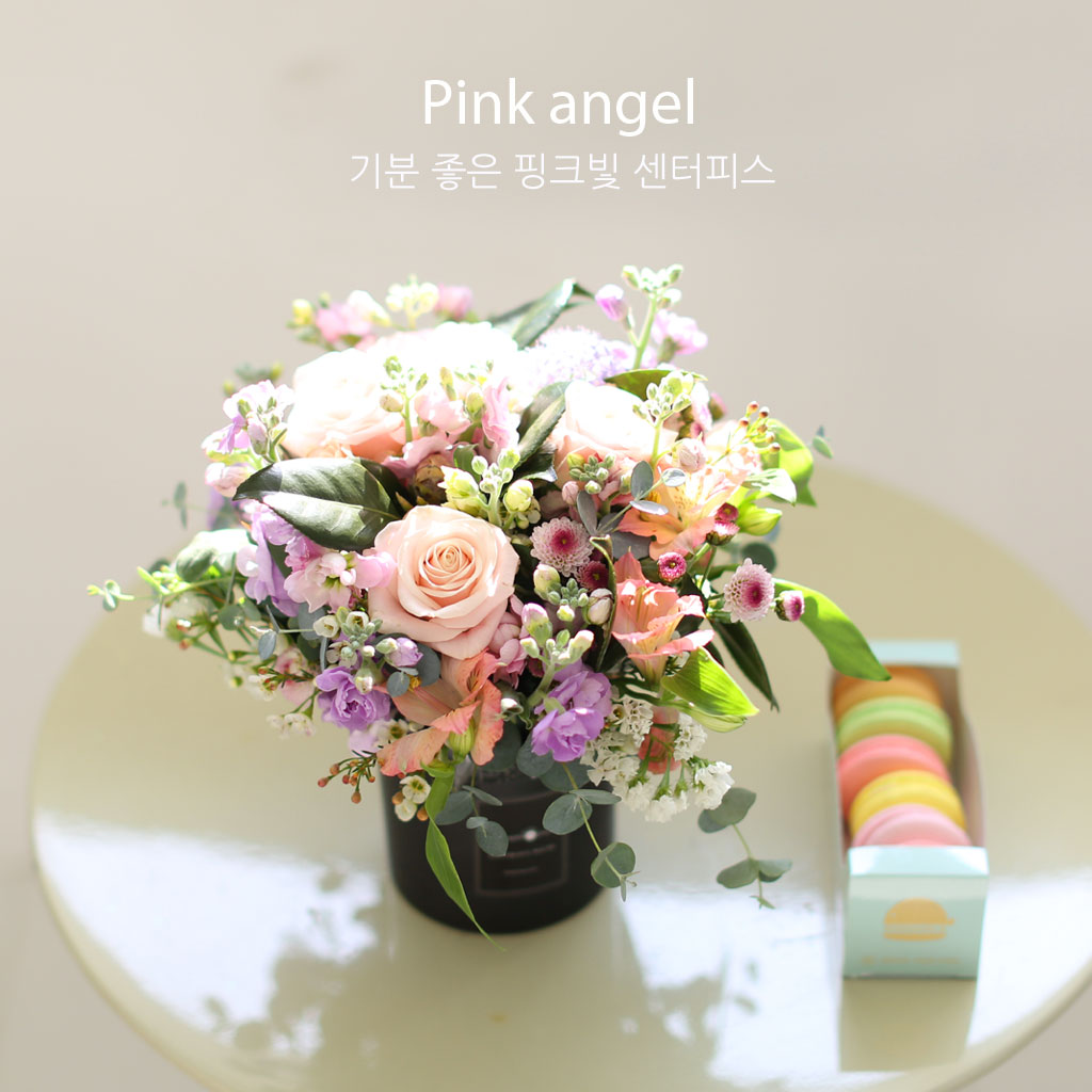 [�ù��ǰ]pink angel - ��� ���� ��ũ�� �����ǽ� Set ���� �ɹ��
