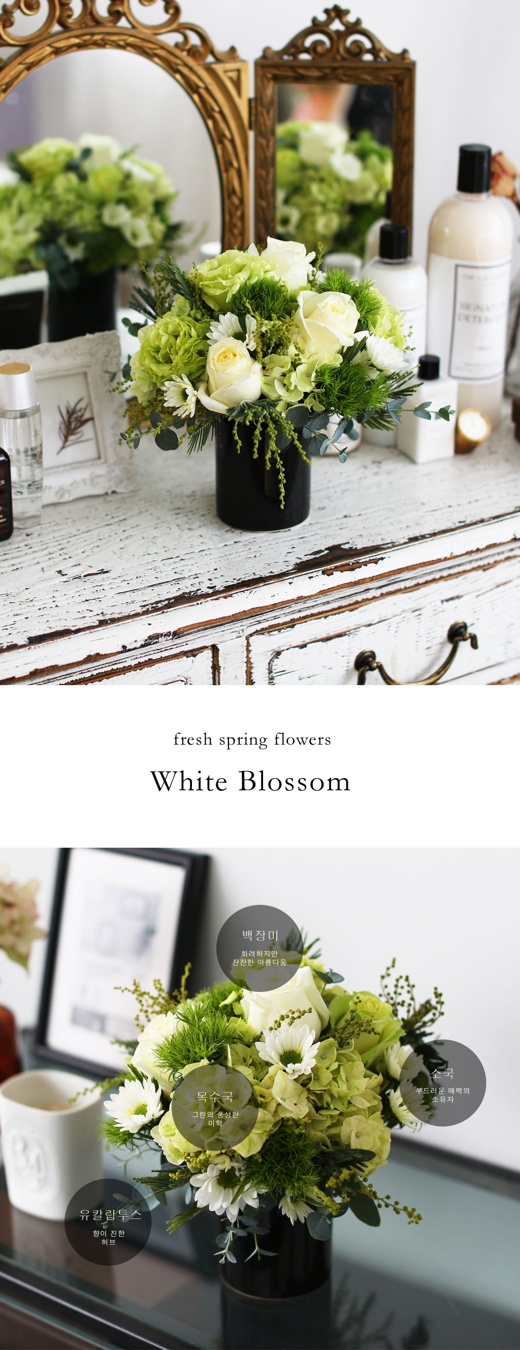 Fresh spring flower Whihe Blossom ���� �ɹ��