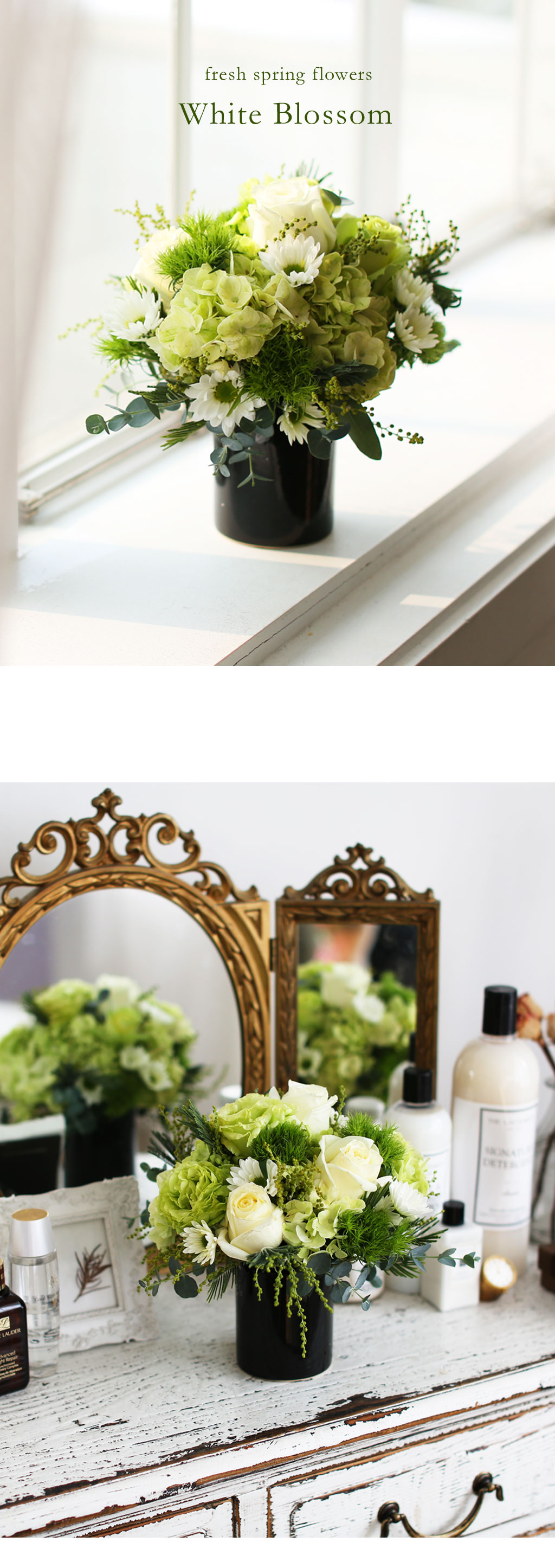 Fresh spring flower Whihe Blossom ���� �ɹ��