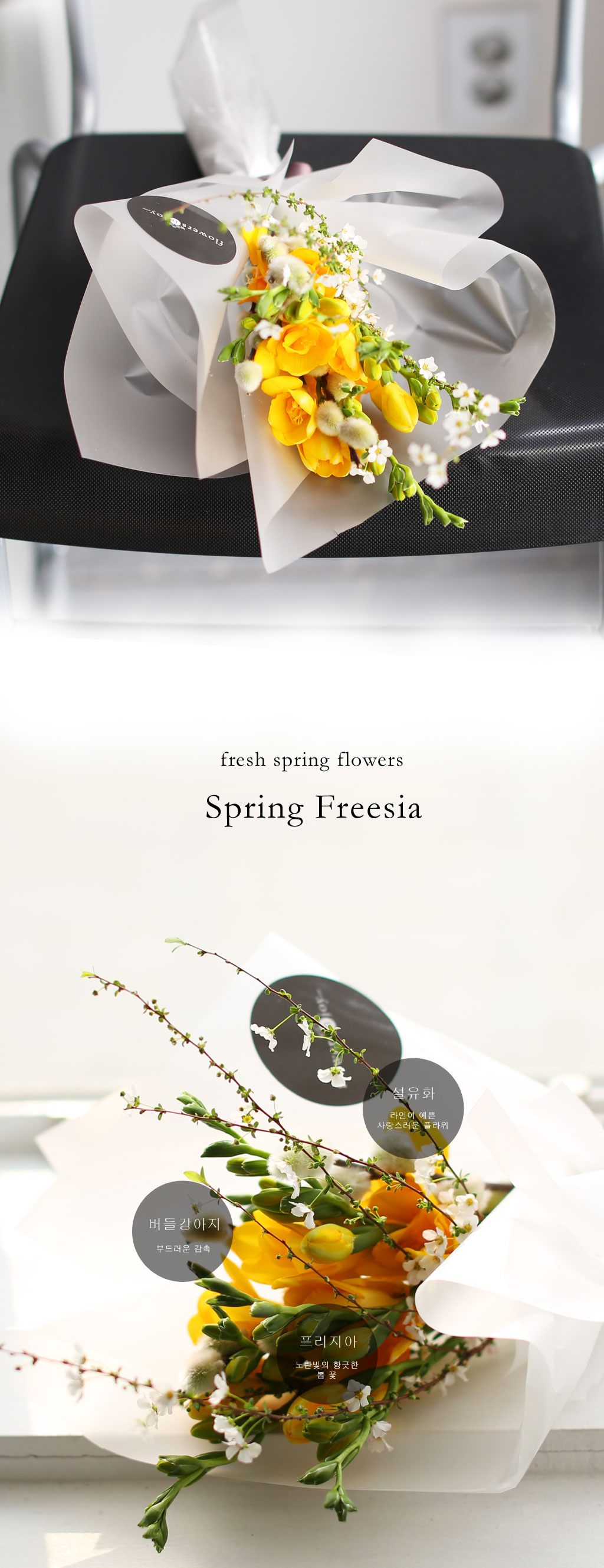 [�ù��ǰ]Fresh spring flower spring freesia ���� �ɹ��