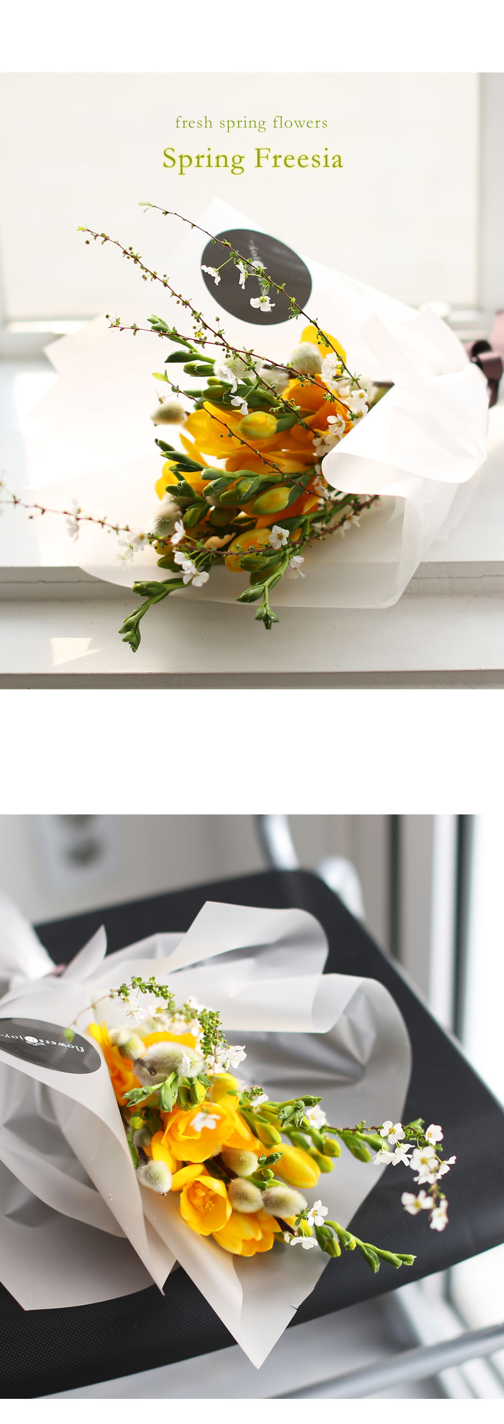 [�ù��ǰ]Fresh spring flower spring freesia ���� �ɹ��