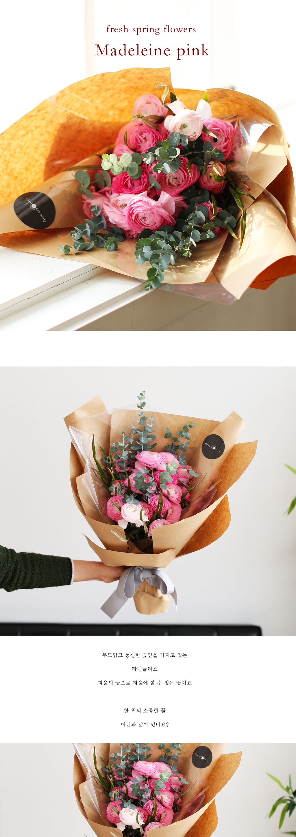 Fresh spring flower madeleine pink ���� �ɹ��