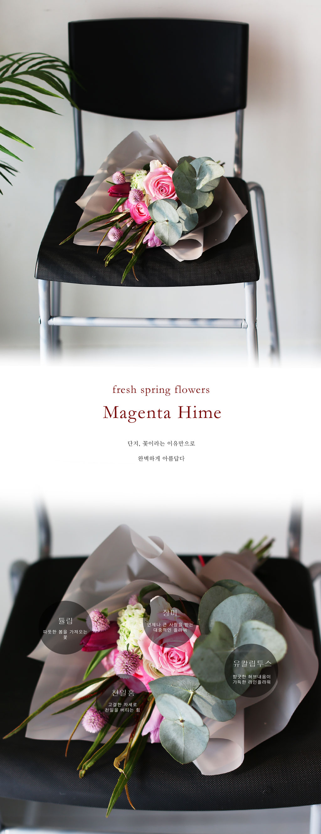 [�ù��ǰ]Fresh spring flower Magenta Hime ���� �ɹ��