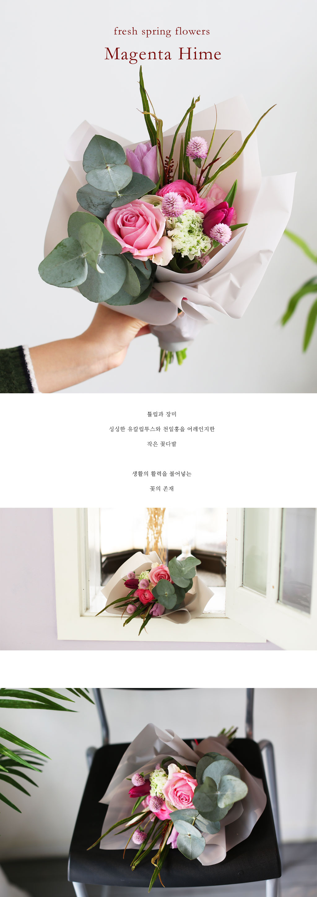 [�ù��ǰ]Fresh spring flower Magenta Hime ���� �ɹ��