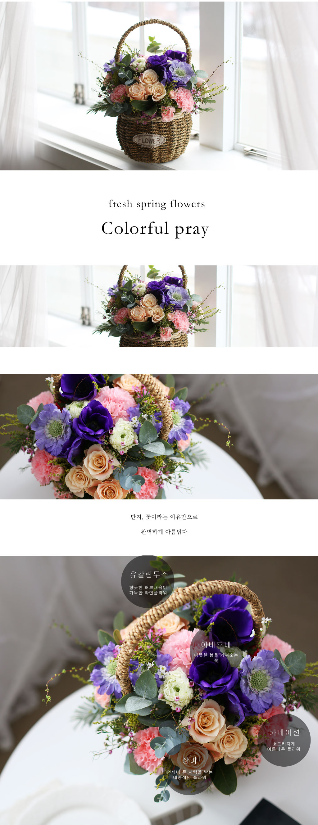 Fresh spring flower Colorful pray ���� �ɹ��