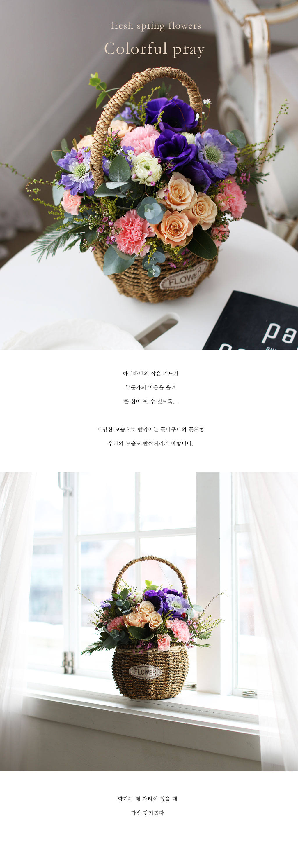 Fresh spring flower Colorful pray ���� �ɹ��