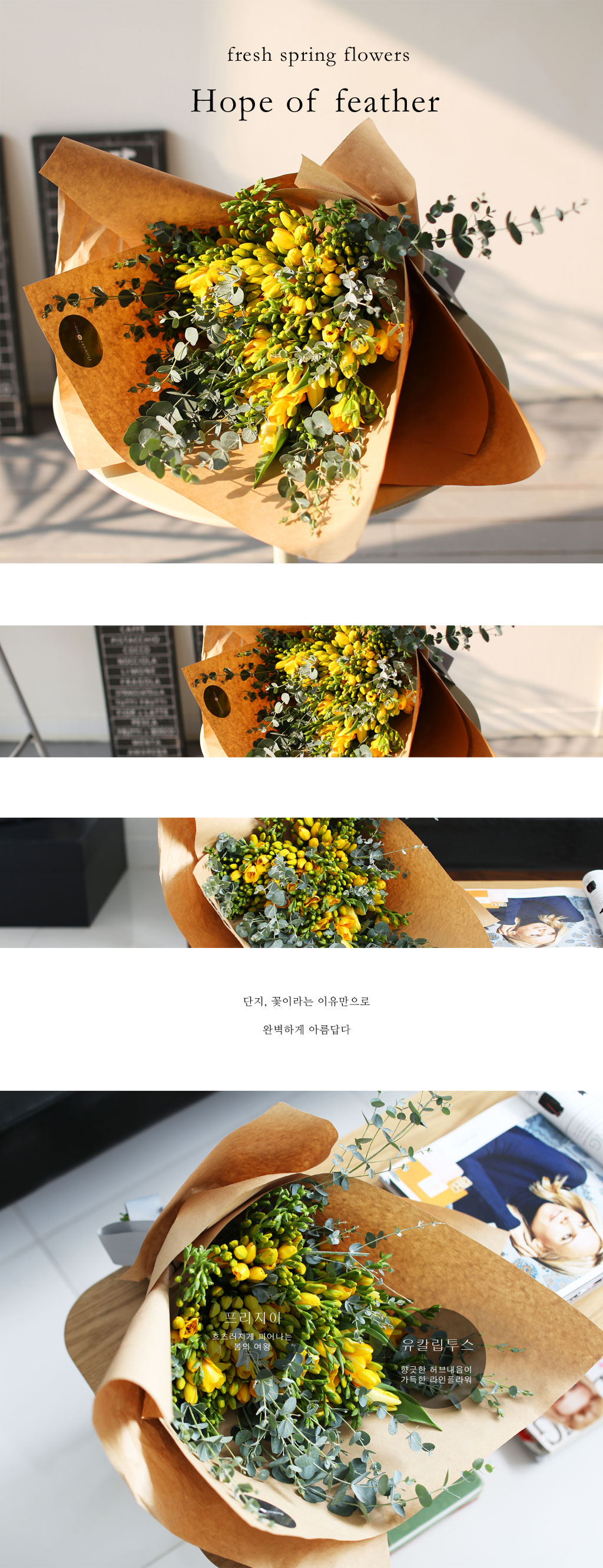 [�ù��ǰ]Fresh spring flower Hope of feather ���� �ɹ��