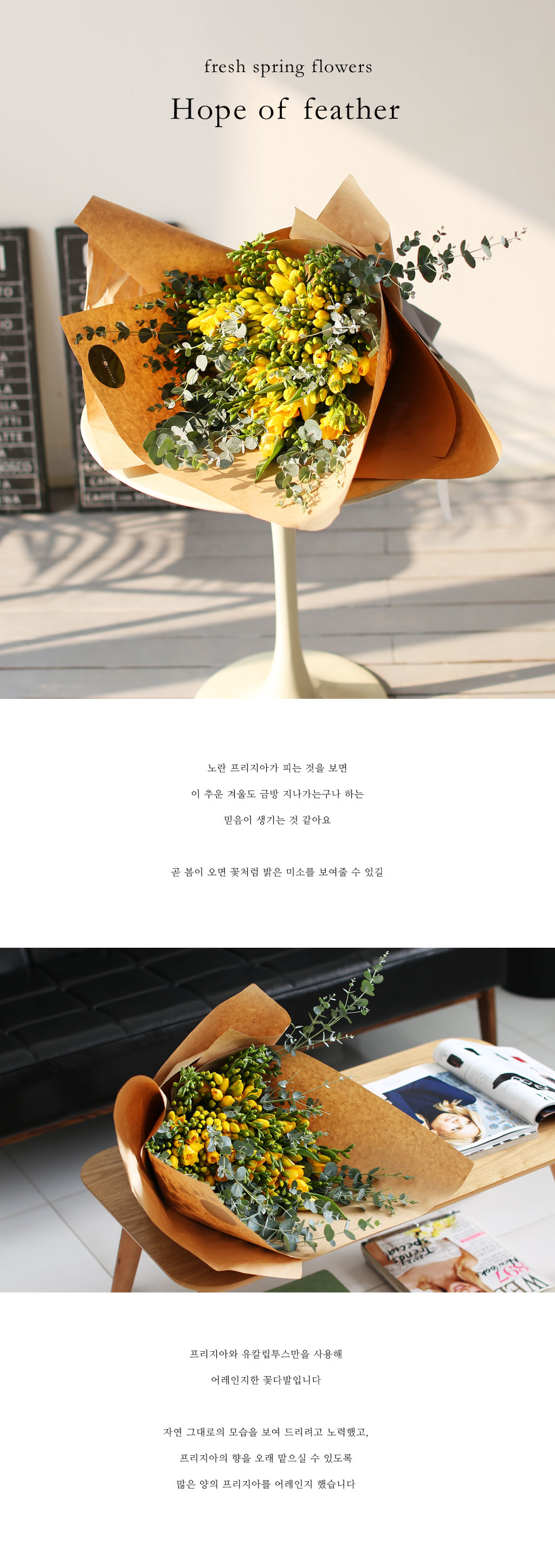 [�ù��ǰ]Fresh spring flower Hope of feather ���� �ɹ��