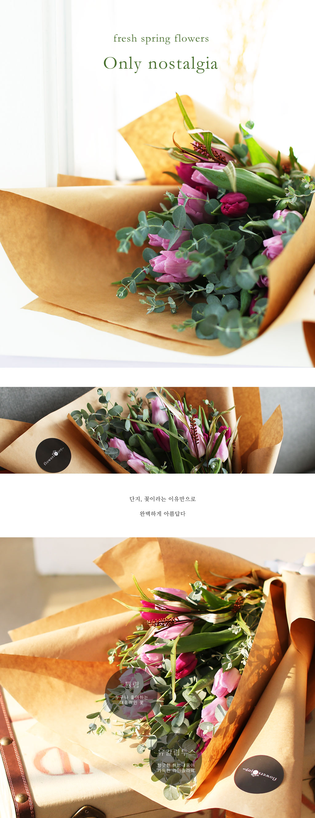 [�ù��ǰ]Fresh spring flower Only nostalgia ���� �ɹ��