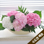 [������] Chic feminine - You Made Me Love You(ȭ��� �����)