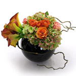 [������]CAROL