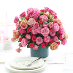 HappyȭƮ _ Pink Rose Romance