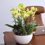 ���޽����� �Ƹ��ٿ��� �����ϴ� ����� - ��� ȣ����