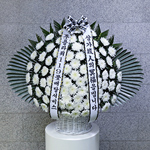 ǰ�� �ִ� �߸��� ������ ���� �����ٱ���(��)