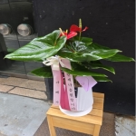 []Table deco. ׸ȭ Ƚ