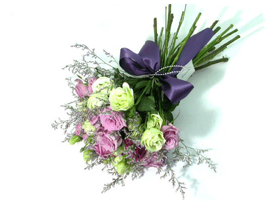 French Purple  ɹ
