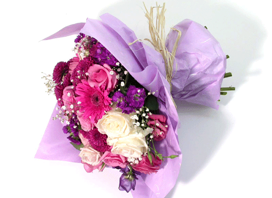 Elegant Rose  ɹ
