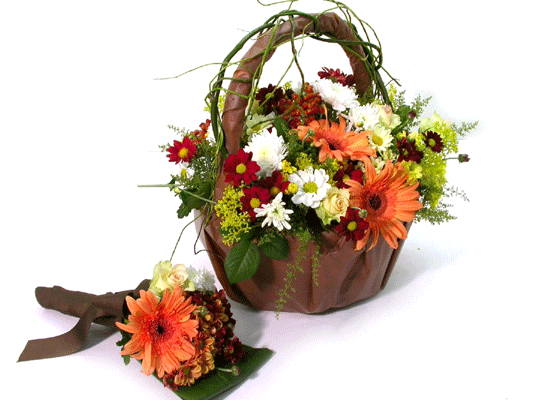 Brown-love( ȭ)  ɹ