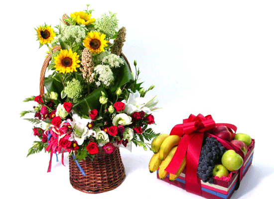 [���Ϲٱ���] Thanksgiving-ǳ��ο� ���� ���� �ɹ��