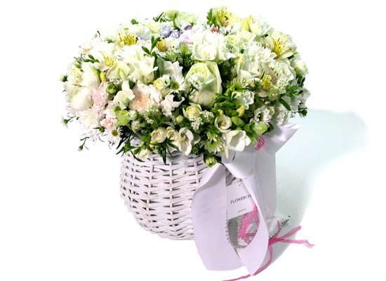 9.Whiteday-ûȥ  ɹ