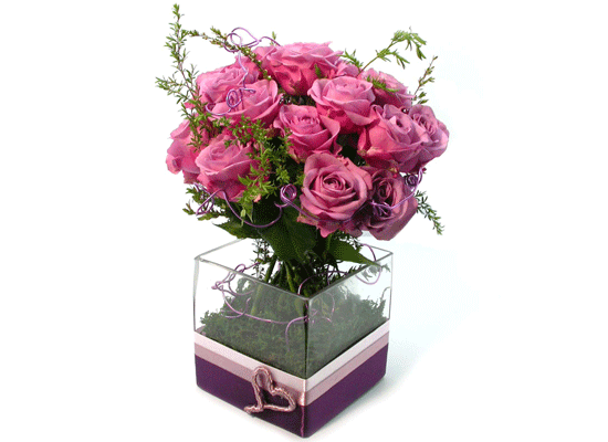 []The Rose - Lady purple  ɹ