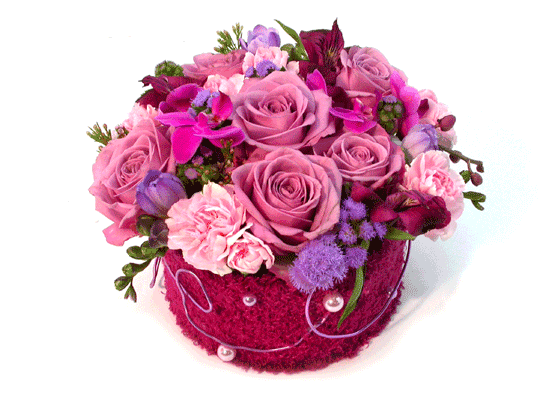 []Birthday - Ű Ʈκ  ɹ