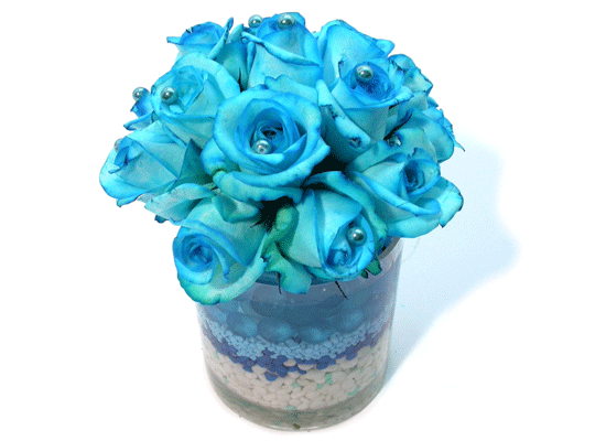 Lusy Blue()  ɹ