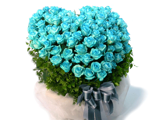 [￹] [100]Captaine Blue(ĸƾ)  ɹ