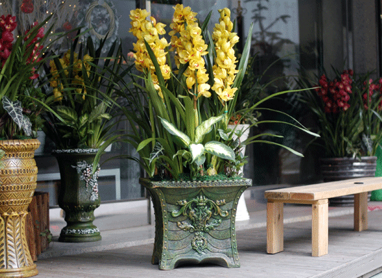 ���޽��� �ɺ���(���) ���� �ɹ��