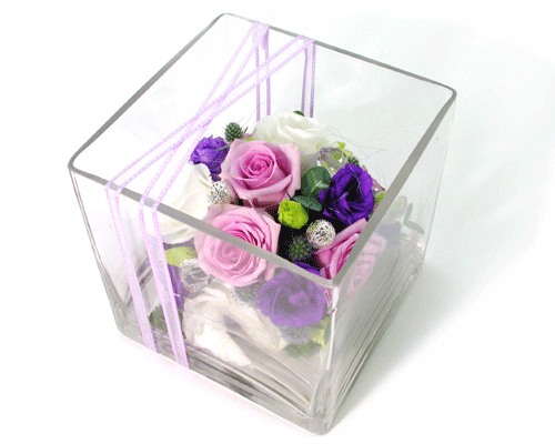   - (Rose)  ɹ
