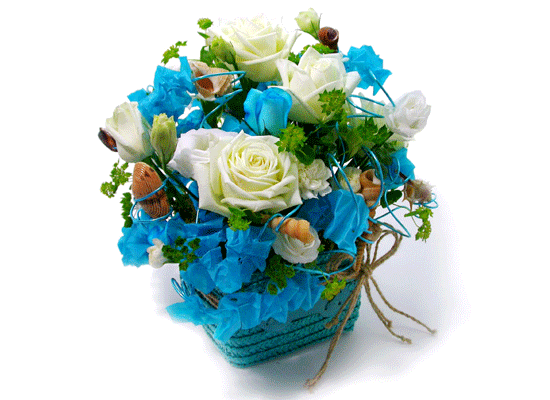 The Blue Paradise - If I could ���� �ɹ��