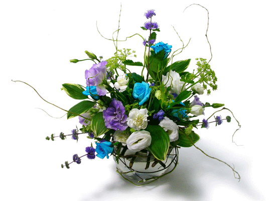 The Blue Paradise - Belle ���� �ɹ��