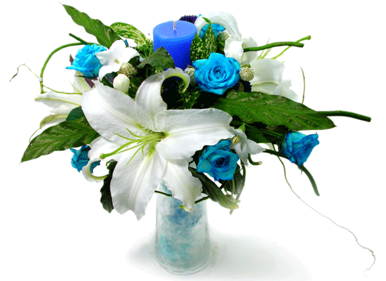 The Blue Paradise - Never know ���� �ɹ��